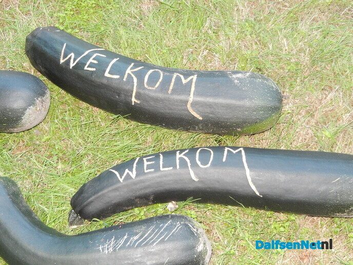 Leuke tip: schrijven op een courgette
