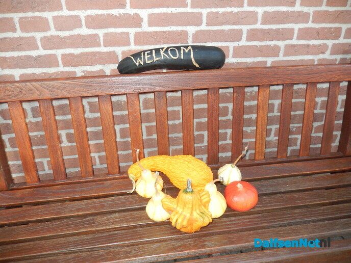 Leuke tip: schrijven op een courgette - Foto: Willy
