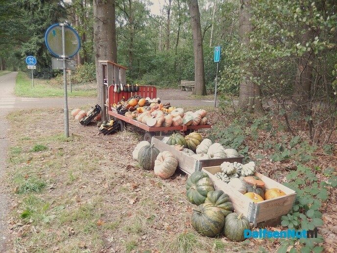 Nog een kraampje met pompoenen enz - Foto: Willy