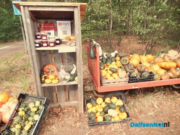 Nog een kraampje met pompoenen enz - Foto: Willy