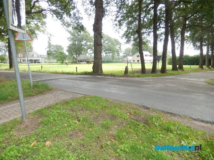 Wel een beetje vreemd… - Foto: Willy