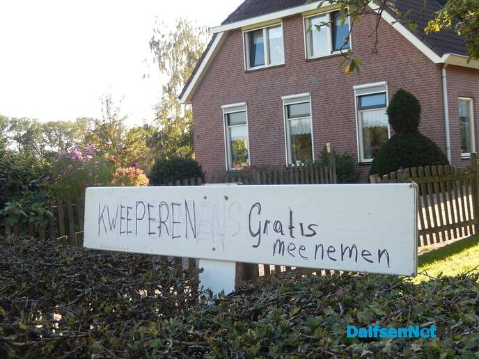 Mevrouw Bekedam heeft weer kweeperen - Foto: Willy