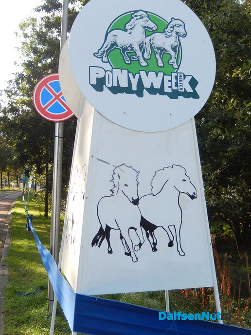 Pony- en paardenmarkt markt Heeten blijft leuk - Foto: Willy