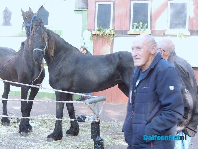 Pony- en paardenmarkt markt Heeten blijft leuk - Foto: Willy