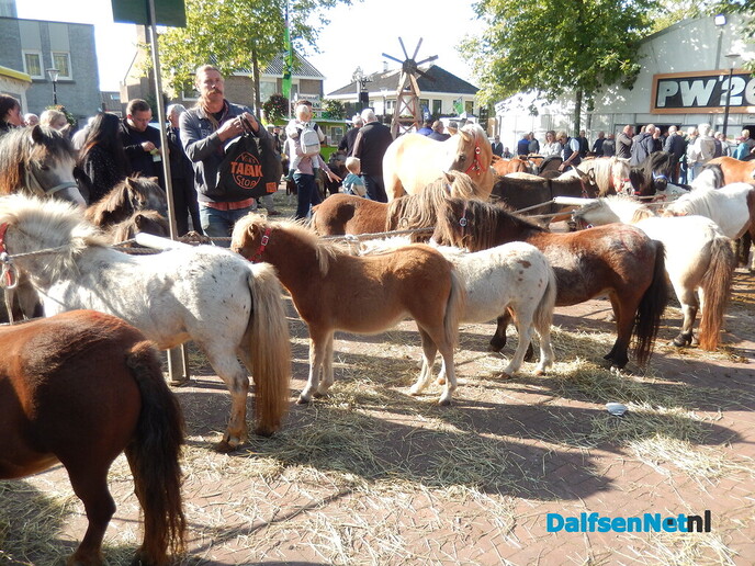 Pony- en paardenmarkt markt Heeten blijft leuk - Foto: Willy