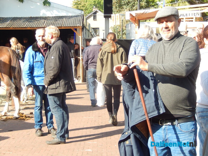 Pony- en paardenmarkt markt Heeten blijft leuk - Foto: Willy