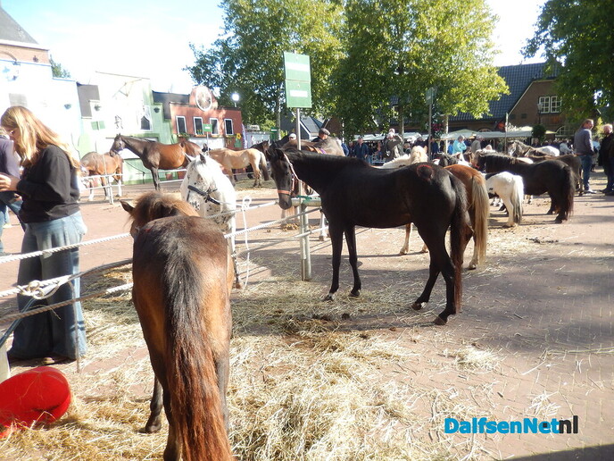 Pony- en paardenmarkt markt Heeten blijft leuk - Foto: Willy