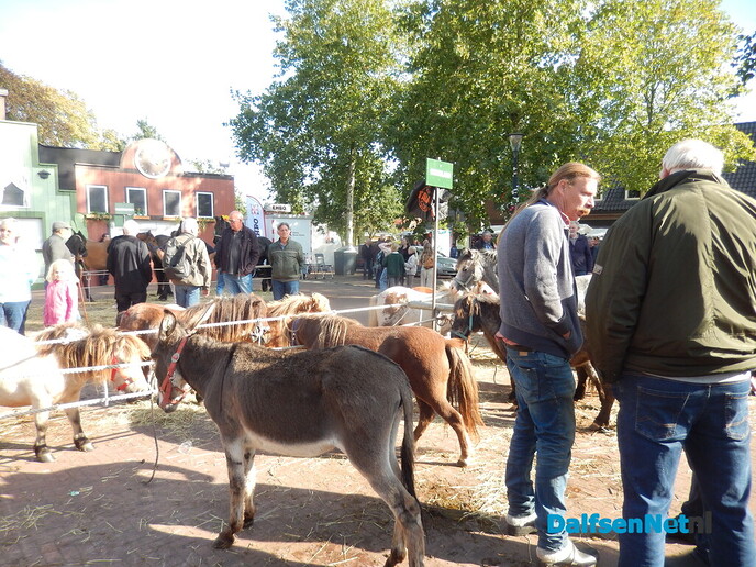 Pony- en paardenmarkt markt Heeten blijft leuk - Foto: Willy