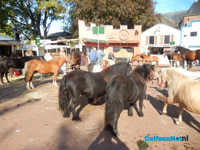 Pony- en paardenmarkt markt Heeten blijft leuk - Foto: Willy