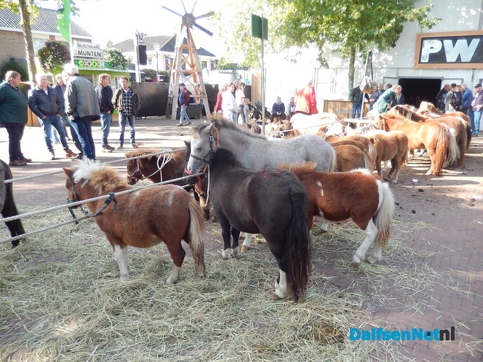 Pony- en paardenmarkt markt Heeten blijft leuk - Foto: Willy