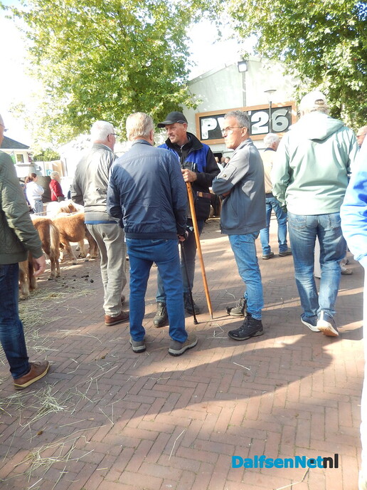 Pony- en paardenmarkt markt Heeten blijft leuk - Foto: Willy