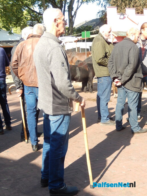 Pony- en paardenmarkt markt Heeten blijft leuk - Foto: Willy