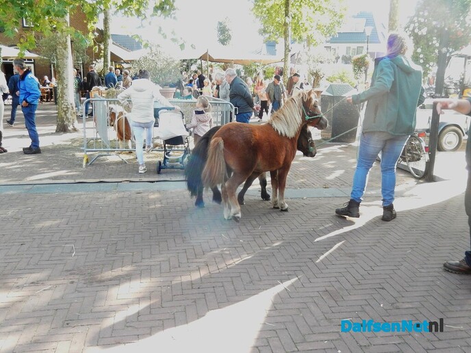 Pony- en paardenmarkt markt Heeten blijft leuk - Foto: Willy