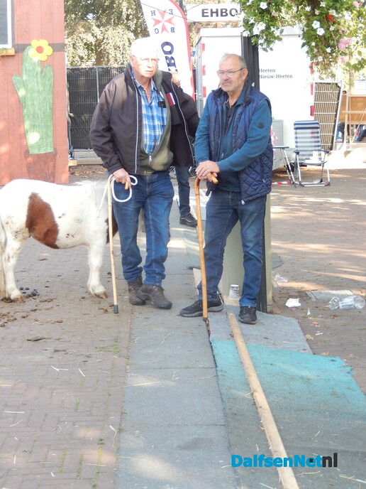 Pony- en paardenmarkt markt Heeten blijft leuk - Foto: Willy
