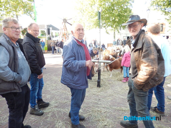 Pony- en paardenmarkt markt Heeten blijft leuk - Foto: Willy