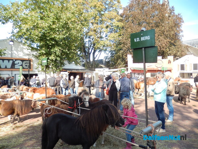 Pony- en paardenmarkt markt Heeten blijft leuk - Foto: Willy