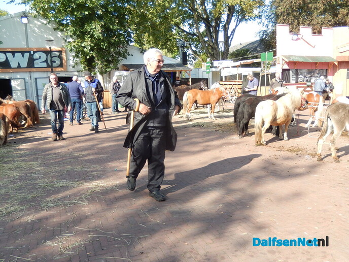 Pony- en paardenmarkt markt Heeten blijft leuk - Foto: Willy