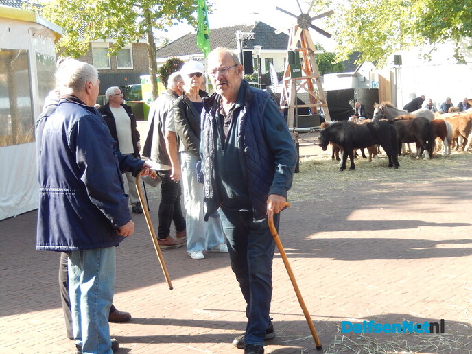 Pony- en paardenmarkt markt Heeten blijft leuk - Foto: Willy