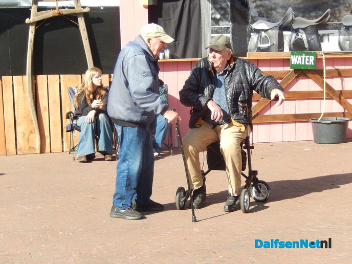 Pony- en paardenmarkt markt Heeten blijft leuk - Foto: Willy