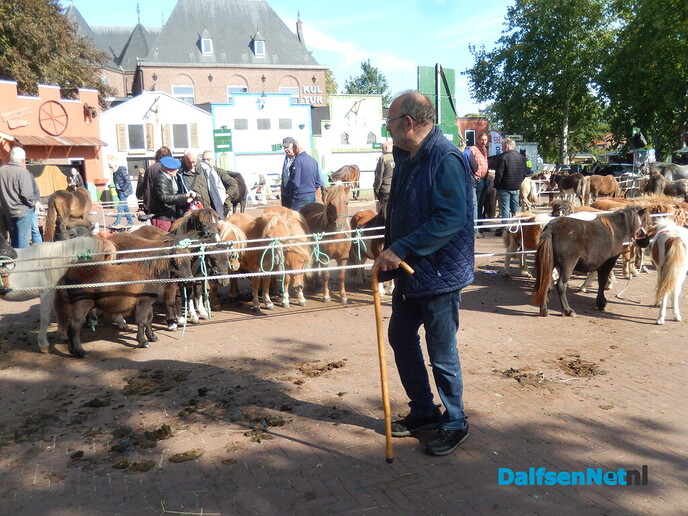 Pony- en paardenmarkt markt Heeten blijft leuk - Foto: Willy