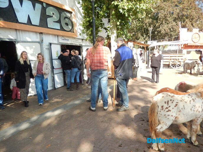 Pony- en paardenmarkt markt Heeten blijft leuk - Foto: Willy