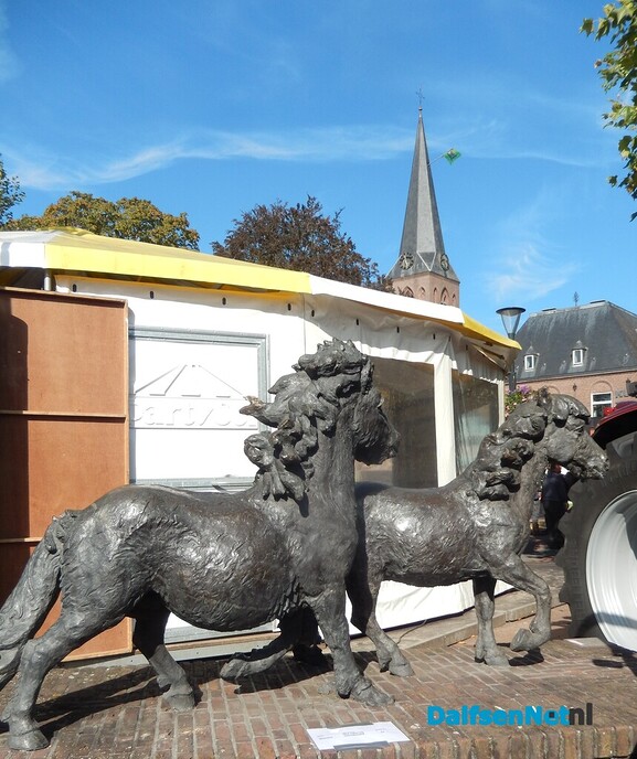 Pony- en paardenmarkt markt Heeten blijft leuk - Foto: Willy