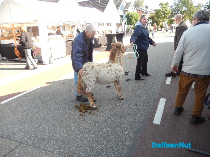 Pony- en paardenmarkt markt Heeten blijft leuk - Foto: Willy