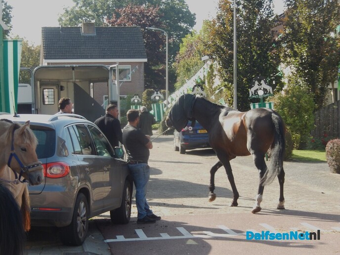 Pony- en paardenmarkt markt Heeten blijft leuk - Foto: Willy