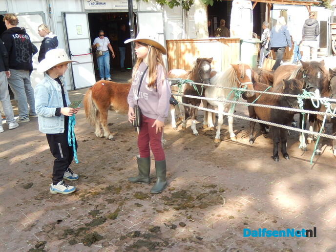 Pony- en paardenmarkt markt Heeten blijft leuk - Foto: Willy