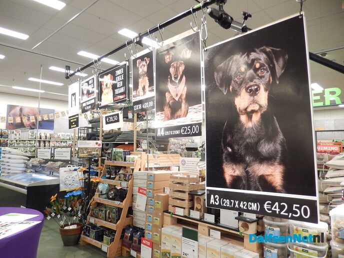 Even lachen naar de dierenfotograaf bij Welkoop Dalfsen - Foto: Willy