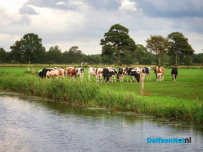 Prachtige avondlucht en idyllisch landschap in Nieuwleusen