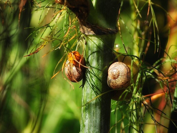Een kleurrijke ontmoeting in de venkeltuin - Foto: Femmie Smink