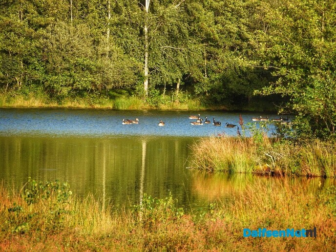 Na een middag vergaderen nog even lekker wandelen - Foto: Femmie Smink