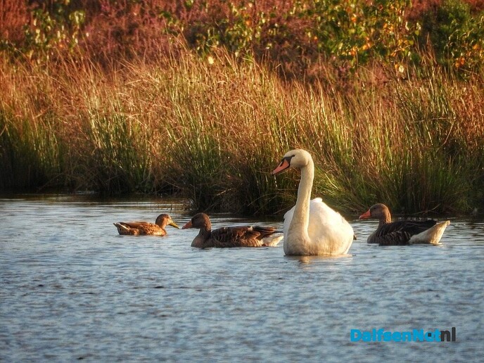 Na een middag vergaderen nog even lekker wandelen - Foto: Femmie Smink