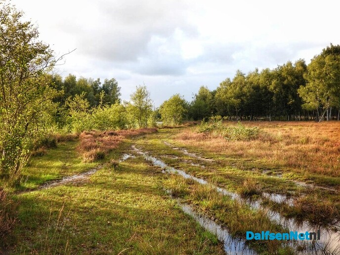 Na een middag vergaderen nog even lekker wandelen - Foto: Femmie Smink