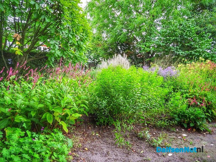 Open huis bij de kweker: een groen paradijs in Dalfsen - Foto: Femmie Smink