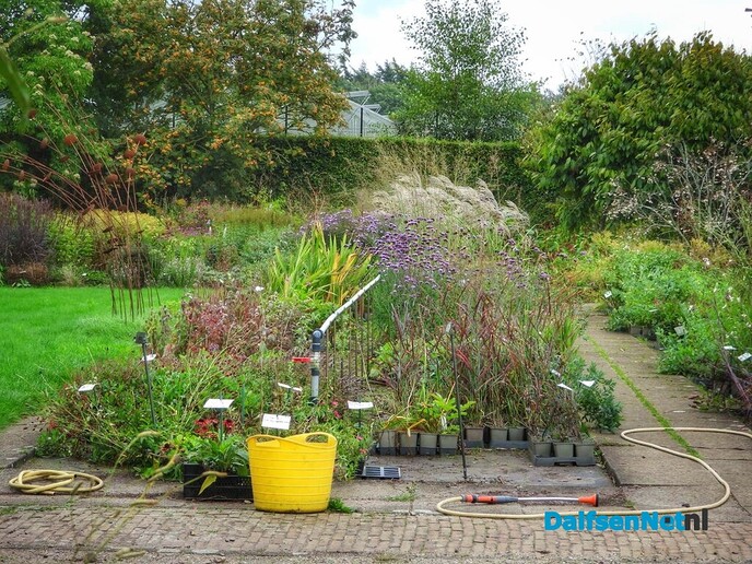 Open huis bij de kweker: een groen paradijs in Dalfsen - Foto: Femmie Smink