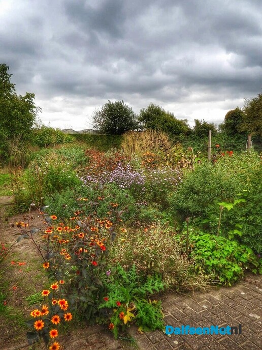 Open huis bij de kweker: een groen paradijs in Dalfsen - Foto: Femmie Smink