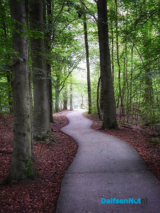 Wachten op paddenstoelen in het Waterloopbos - Foto: Femmie Smink
