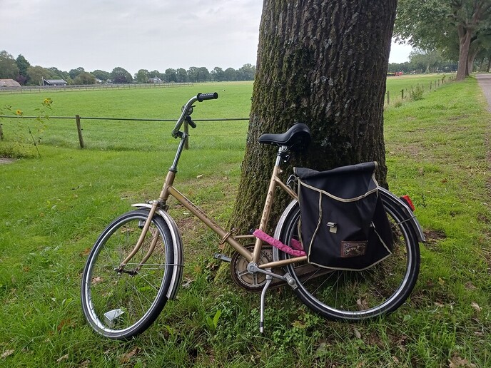Normale fiets blijven staan op Normaal veld