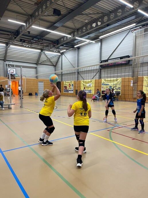De Dalvo Volleystar-teams hebben hun eerst wedstrijden gespeeld - Foto: Ingezonden foto