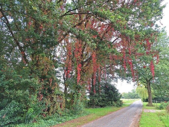 Herfst in aantocht - Foto: Ingezonden foto