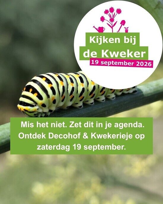 Kijken bij de Kweker bij Decohof en Kwekerieje - Foto: Ingezonden foto