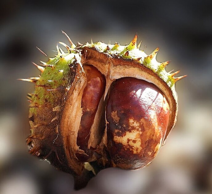 De herfst kondigt zich aan