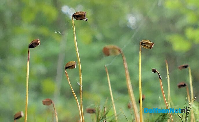 Herfst: mooie plaatjes - Foto: Ingezonden foto