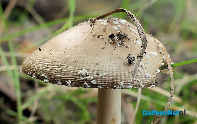 Herfst: mooie plaatjes - Foto: Ingezonden foto