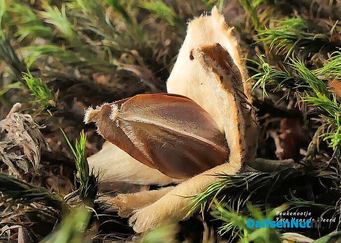 Herfst: mooie plaatjes - Foto: Ingezonden foto