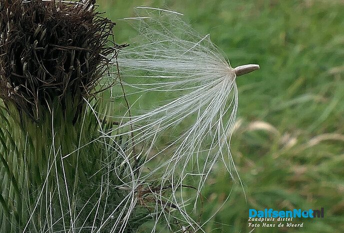 Herfst: mooie plaatjes - Foto: Ingezonden foto