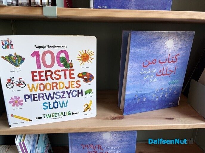 Stem op Bibliotheek Dalfsen - Foto: Ingezonden foto