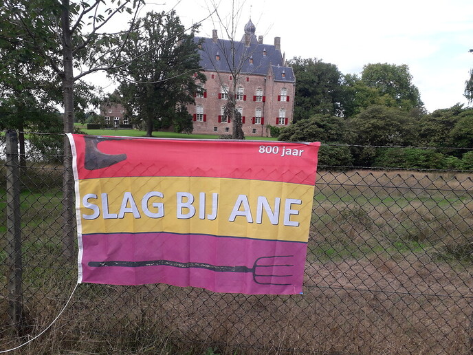 Vechtstreek bepalend voor Slag bij Ane